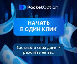 Exploring the Features of the Cabinet Pocket Option 20