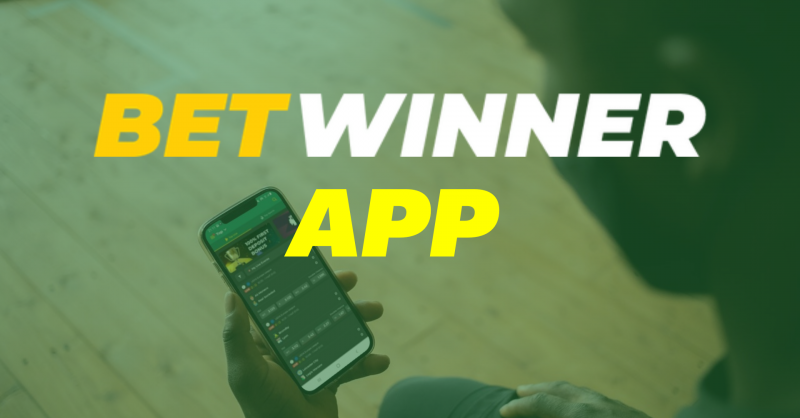 Все о BetWinner Бонус как получить и использовать
